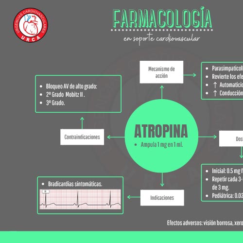 INFOGRAFÍAS INTENSIVEQARE