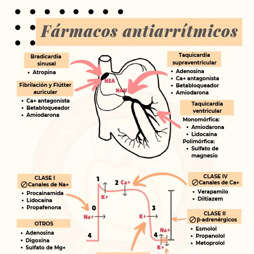 INFOGRAFÍAS INTENSIVEQARE