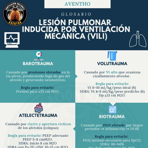 INFOGRAFÍAS INTENSIVEQARE