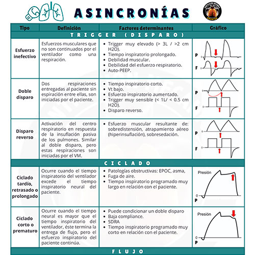 INFOGRAFÍAS INTENSIVEQARE