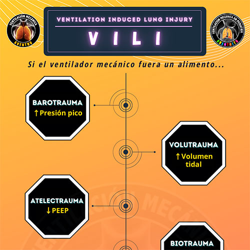 INFOGRAFÍAS INTENSIVEQARE