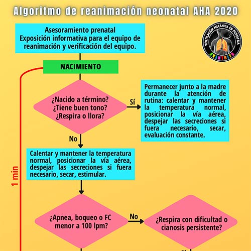 INFOGRAFÍAS INTENSIVEQARE