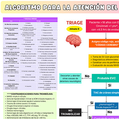 INFOGRAFÍAS INTENSIVEQARE