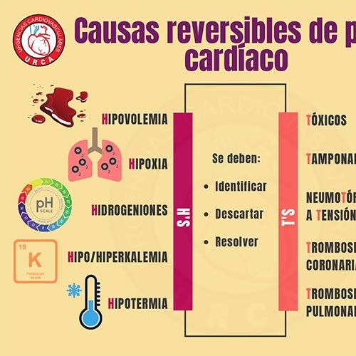 INFOGRAFÍAS INTENSIVEQARE